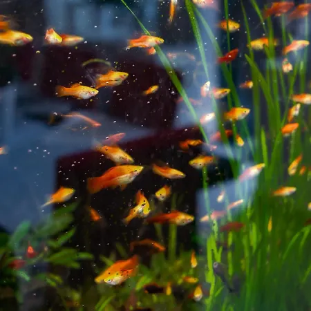 Bed & Breakfast Noclegi-skalka 3*