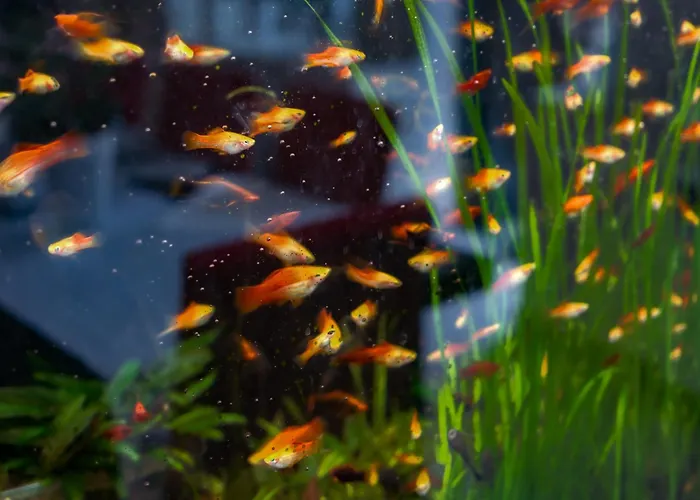 Bed & Breakfast Noclegi-skalka 3*